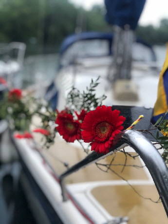 Blumen1