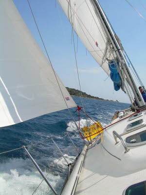 aDSCN1201
